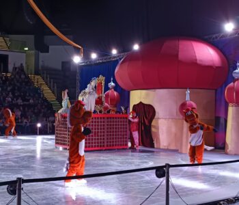 IMG_20250521_112309