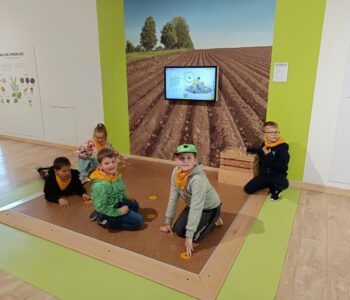 IMG_20250521_142749