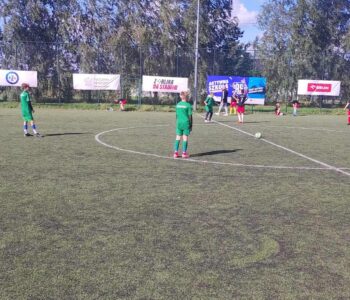 c22c2c62-8702-441a-90f9-f449f7d4378b