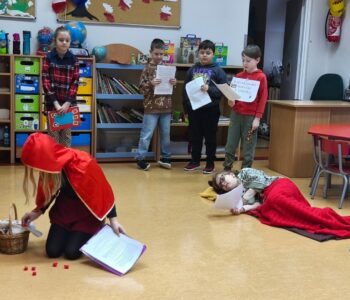 IMG_20251207_111131 (1)