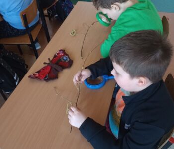 IMG_20260318_102657144