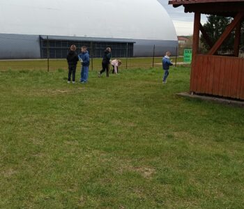 IMG_20260430_092922